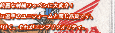 あなたのオリジナルデザインが綺麗な刺繍ワッペンに大変身!エンプリで作れば憧れのブランド品やプロ選手のユニホームと同じ品質です。もう普通じゃつまらない!相手に差が付く、それがエンプリクオリティ。